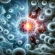 White Blood Cells And Breast Cancer: A Paradox Decoded