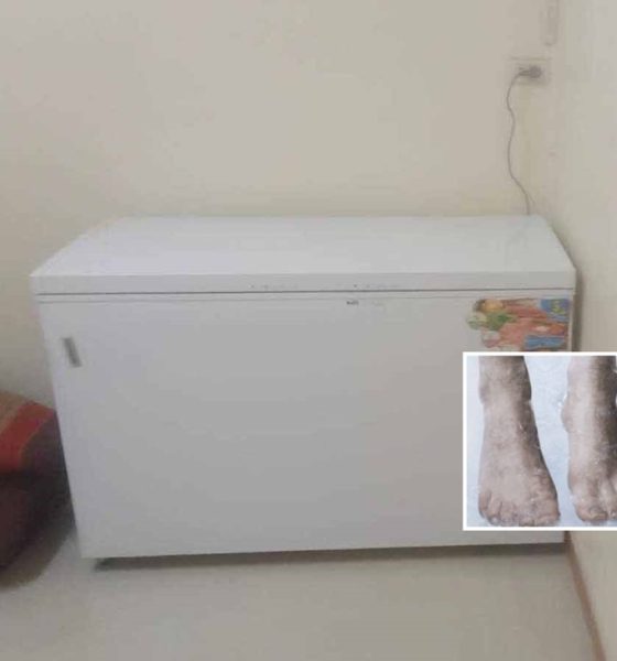 Police officers find remains freezer