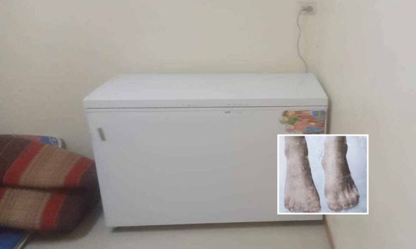Police officers find remains freezer