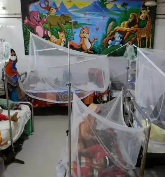 Bangladesh's First Dengue Fever Death In 2024.