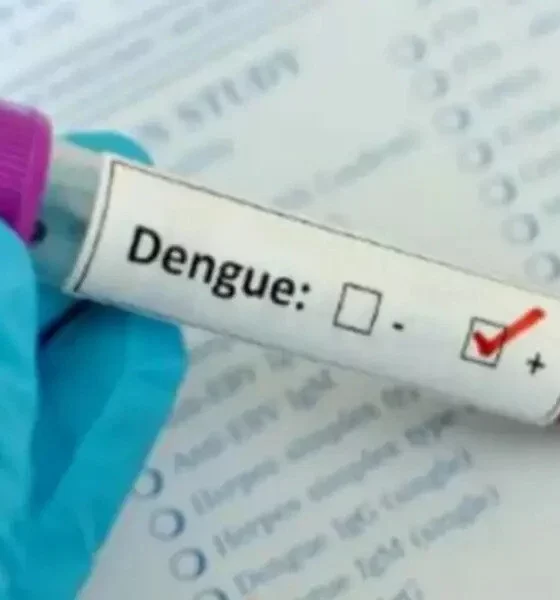 Zero Dengue Deaths In Bangladesh, 33 Cases In 24 Hours