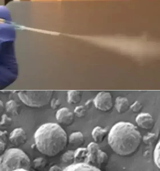 Nanosensors For Lung Cancer Diagnosis Developed By MIT