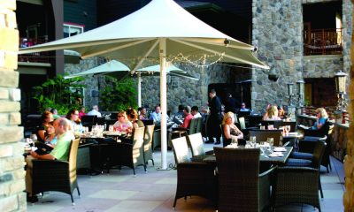 restaurant chairs