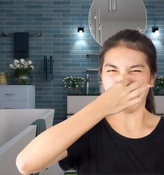 Bathroom Odor Eliminator