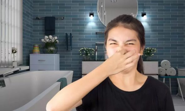 Bathroom Odor Eliminator