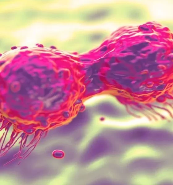 Breast Cancer Peptide Has Been Developed For Triple Negative Patients