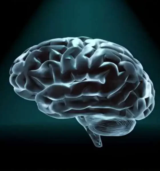 Gray Brain Matter Volume Is Lower In People With Early Onset Psychosis