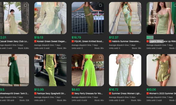 Unlocking Dropshipping Success: Navigating the Post-Oberlo Landscape with Dropshipping Copilot