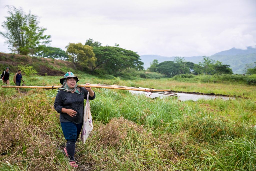 Wiang Nong Lom wetland