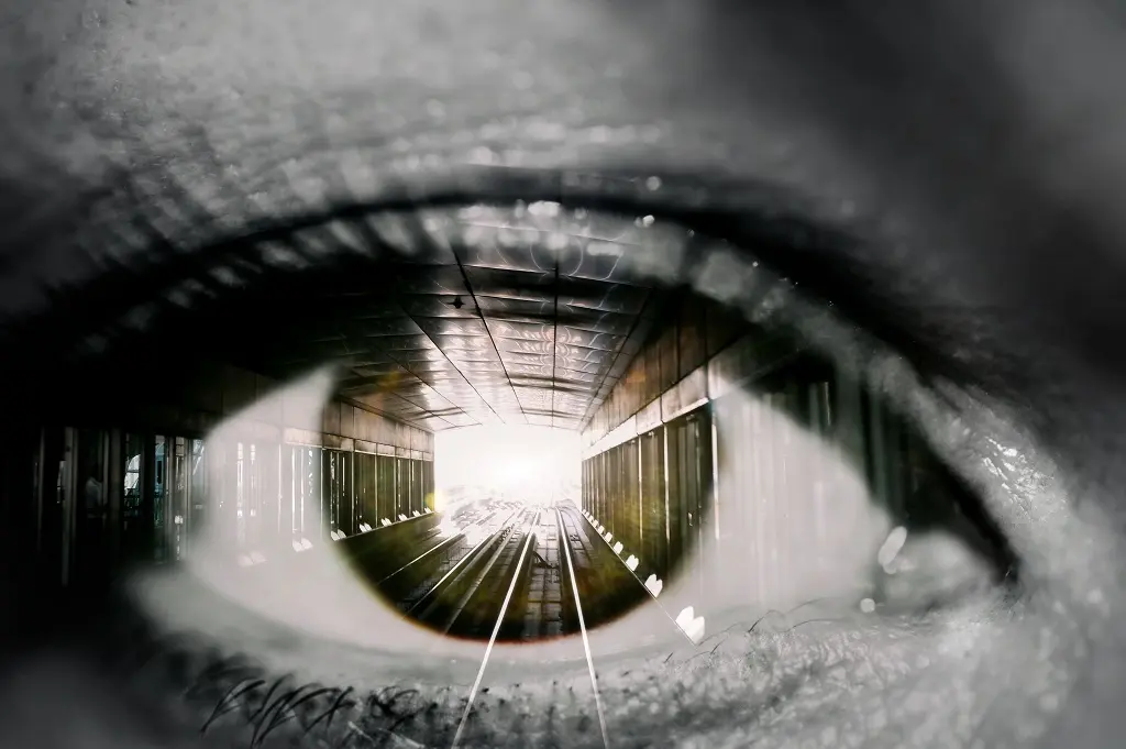 vision