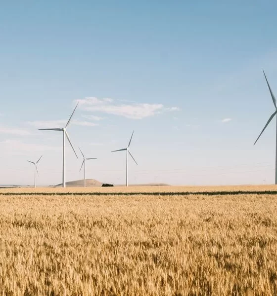 Australia Wants to Encourage Sustainable Developments: Turning Vision Into Reality