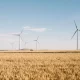 Australia Wants to Encourage Sustainable Developments: Turning Vision Into Reality