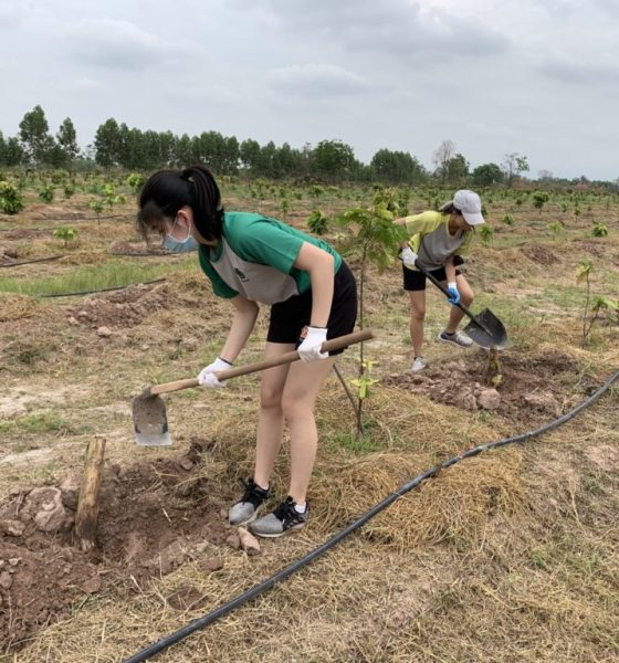 Thailand Plants Trees to Combat Climate Change