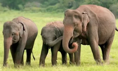 Bangladesh