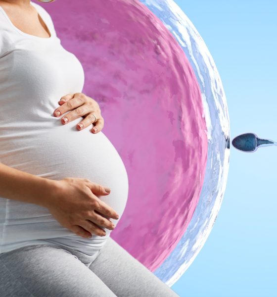 Thailand to Offer Free In Vitro Fertilisation IVF