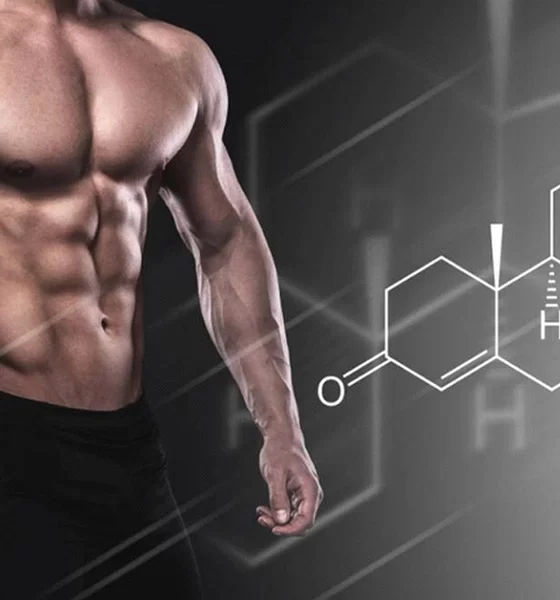 Effective Strategies for Purchasing Dianabol Online in the USA: A User's Guide