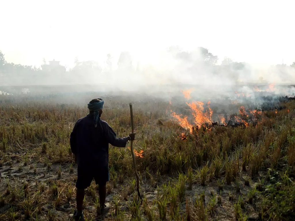 Northern Thailand Experiencing Unsafe Levels of PM2.5 Air Quality