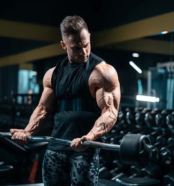 Post Cycle Therapy in Bodybuilding