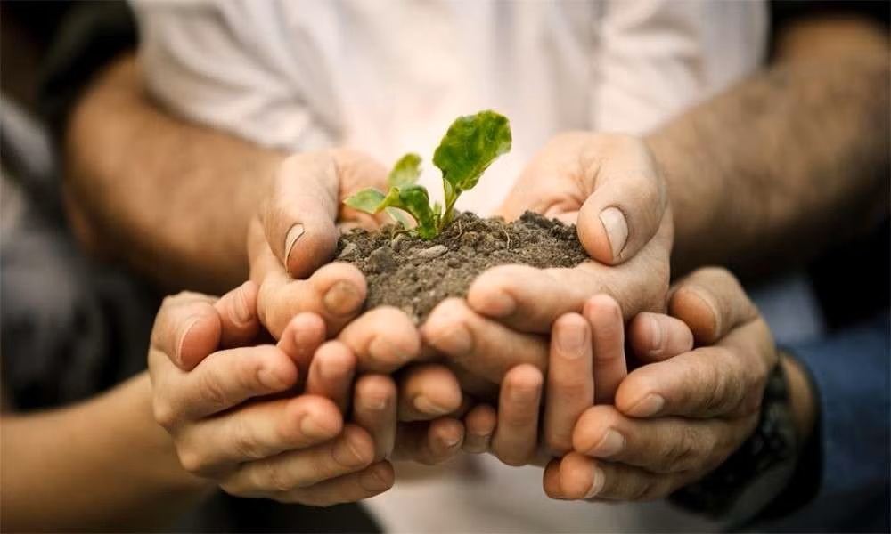 Thailand Plants Trees to Combat Climate Change 