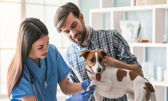 The Vital Role of Regular Veterinary Check-ups in Pet Care