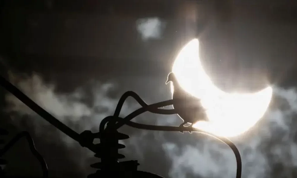 Eclipses