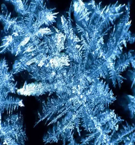 Artificial Blood Vessels Made With 3D Printing: Icy Veins