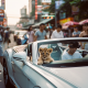 Thailand's Wildlife Officials Crackdown on Private Ownership of Lions
