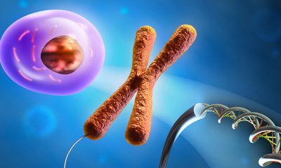protein production