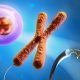 protein production
