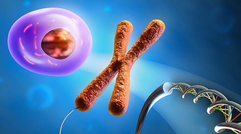 protein production