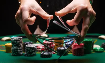 Exploring Diversity in Social Casino Games: From Traditional Favorites to Innovative New Concepts