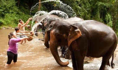 Outdoor Activities in Thailand
