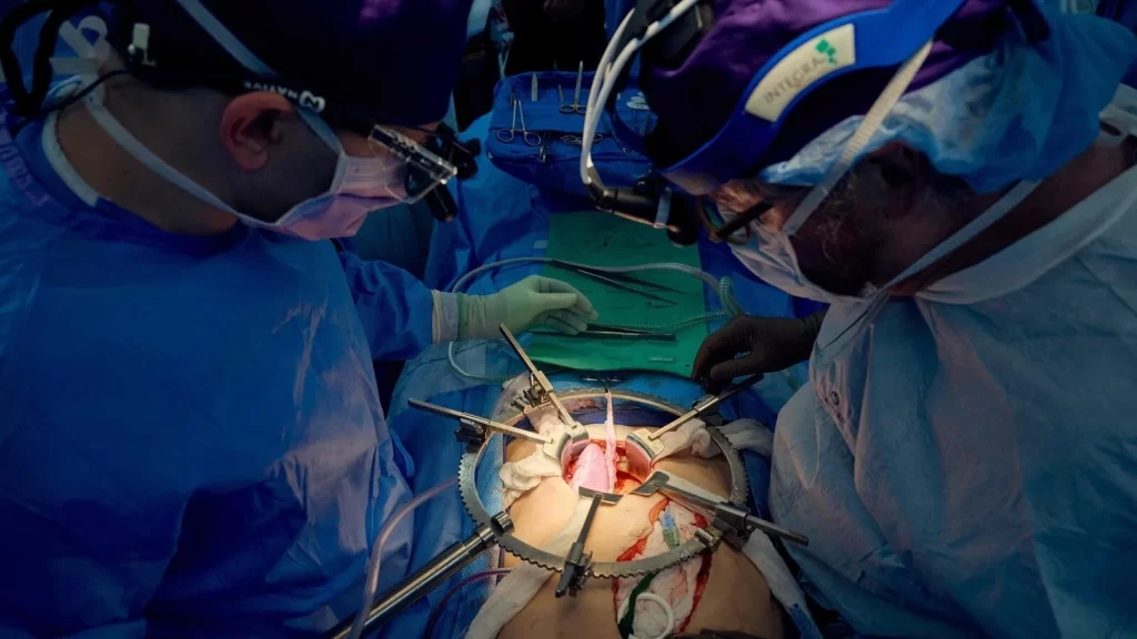Pigs Kidney Transplant
