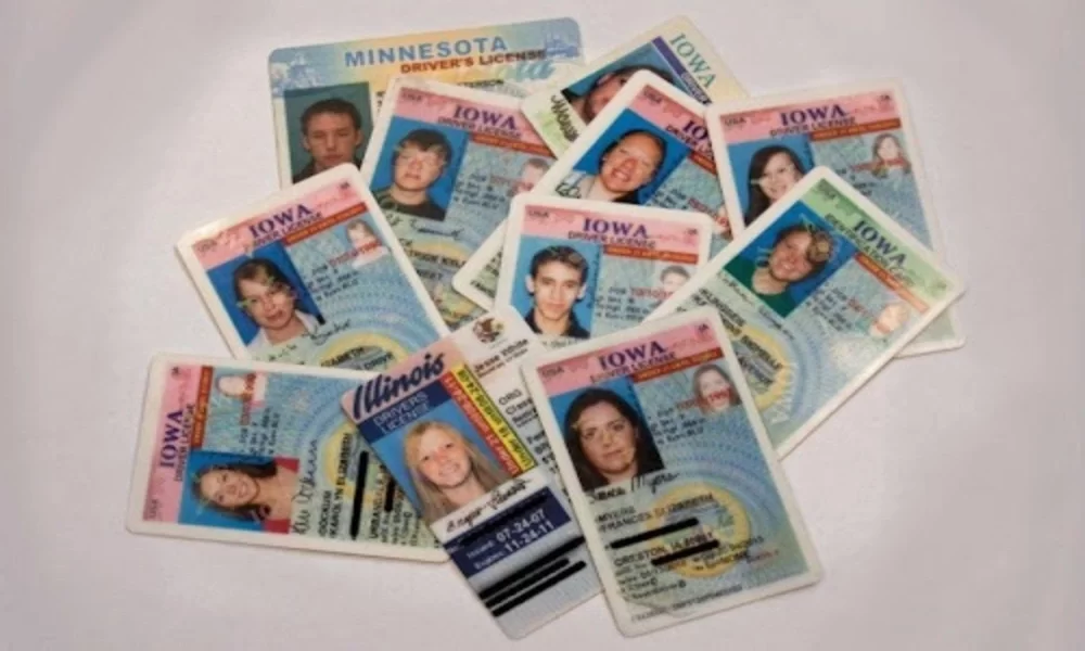 Revolutionizing the Roads: The Impact of Italian Collector's Driver's Licenses