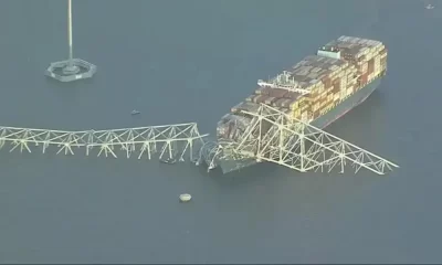 The Baltimore Bridge Collapses After a Cargo Ship Rams a Support Column