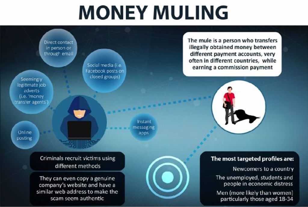 Mule Accounts