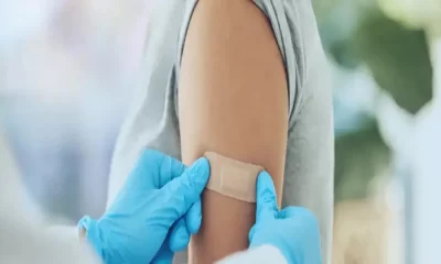 How Can MRNA Vaccines Boost Livestock Production?