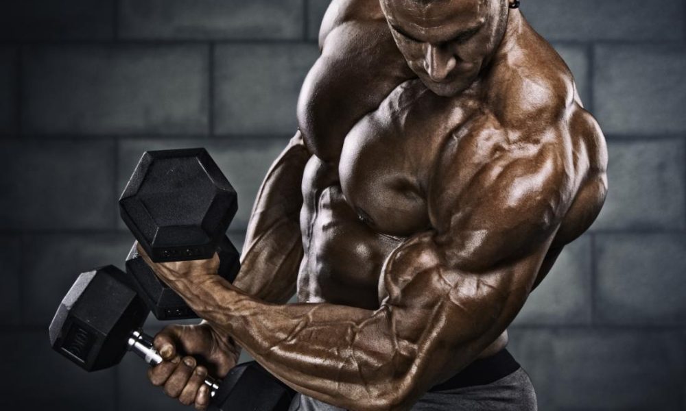 Can Supplements Improve Focus and Memory? Top Natural Brain Nootropics