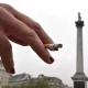 Cigarettes