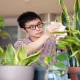 Enhancing Focus and Creativity: The Science Behind Plants in the Office