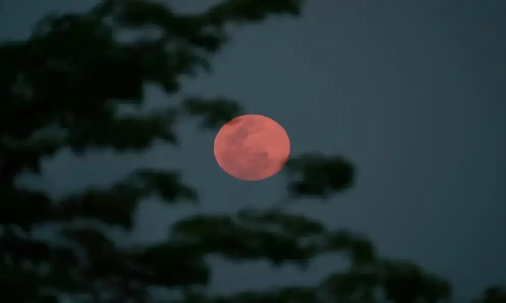 April's Full Moon 2024