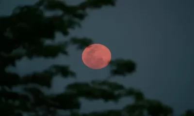 April's Full Moon 2024