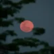 April's Full Moon 2024