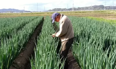 Japan's Labour Shortage Can Artificial Intelligence (AI) Fill the Gap
