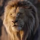 The Lion King