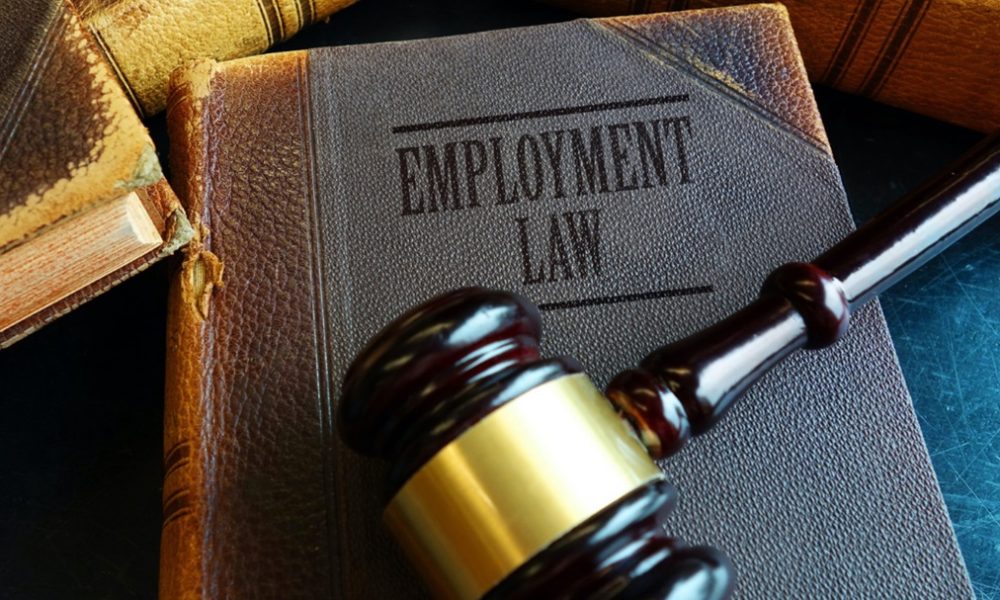 An employment lawyer offers relevant legal advice and counseling to employers as well as an employee on different matters.