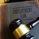 An employment lawyer offers relevant legal advice and counseling to employers as well as an employee on different matters.