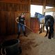 horse barns