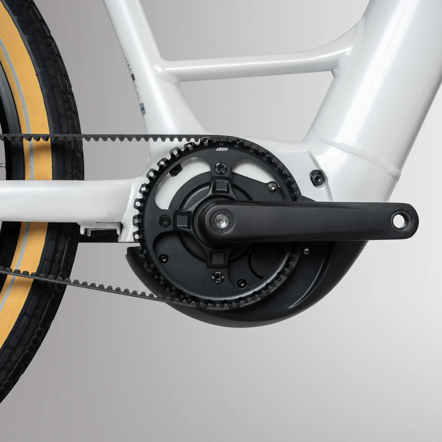 veer cycle, electric mobility