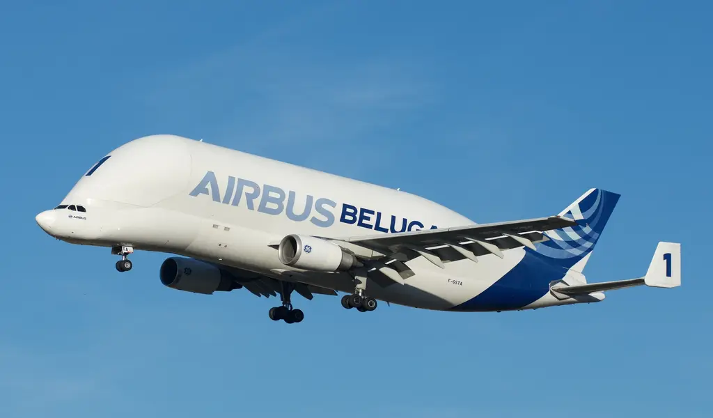 Airbus Beluga The Weirdest-looking Aircraft in the World Gets its Airline